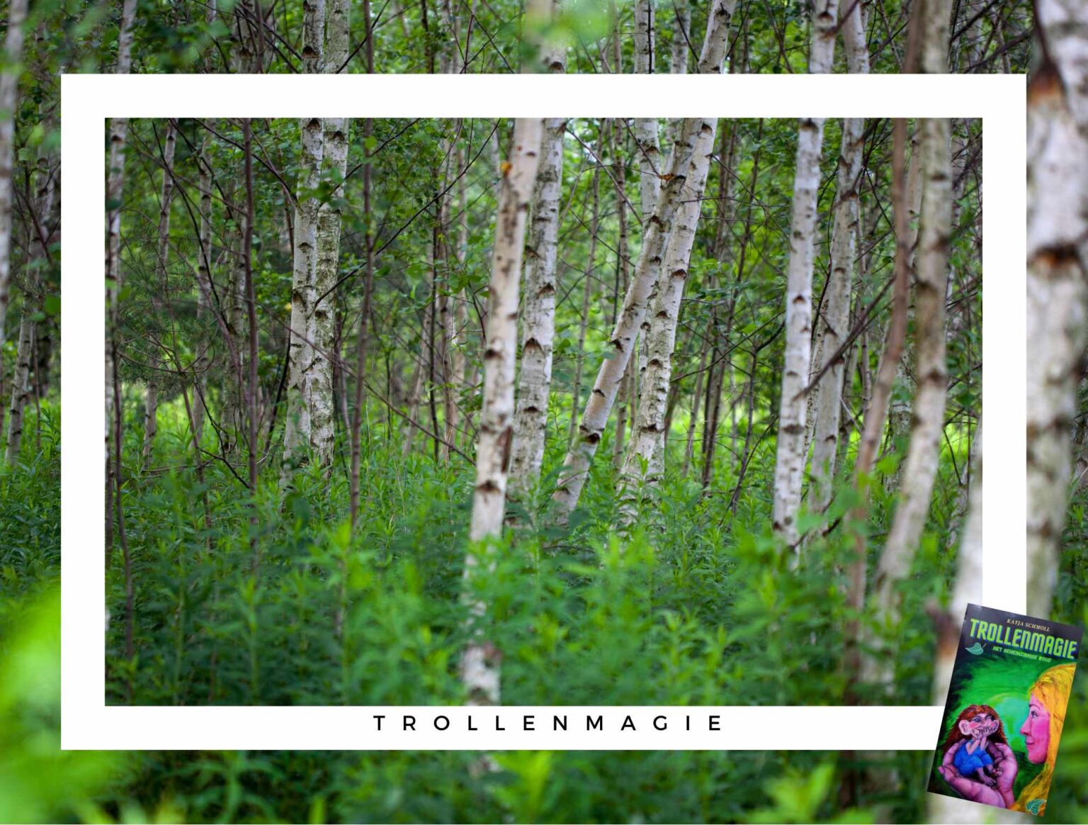 Trollenmagie - Het geheimzinnige woud